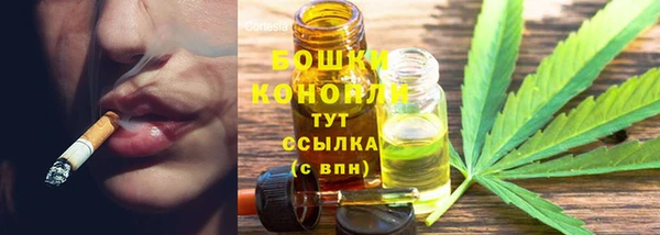 соль ск Белокуриха