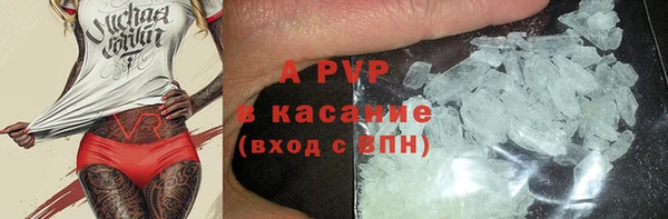 соль ск Белокуриха